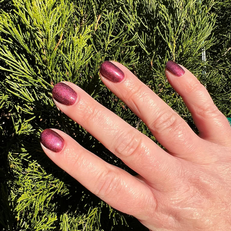 Wine - Classic Nail Powder